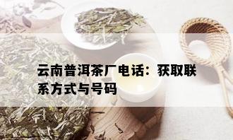 云南普洱茶厂电话：获取联系方式与号码