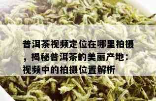 普洱茶视频定位在哪里拍摄，揭秘普洱茶的美丽产地：视频中的拍摄位置解析