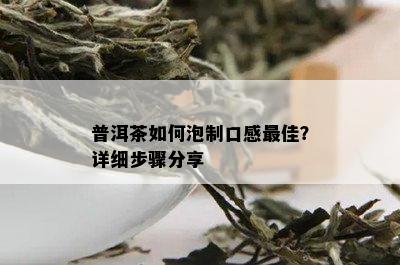 普洱茶如何泡制口感更佳？详细步骤分享