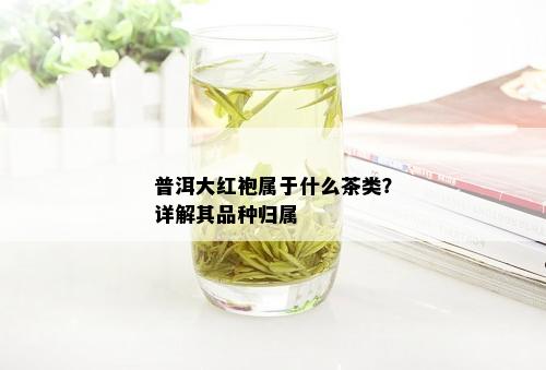 普洱大红袍属于什么茶类？详解其品种归属