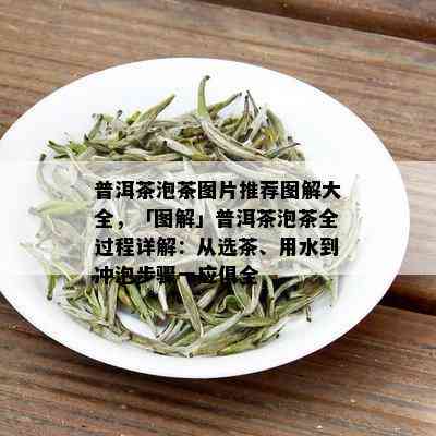 普洱茶泡茶图片推荐图解大全，「图解」普洱茶泡茶全过程详解：从选茶、用水到冲泡步骤一应俱全