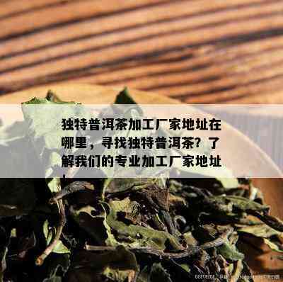 独特普洱茶加工厂家地址在哪里，寻找独特普洱茶？了解我们的专业加工厂家地址！