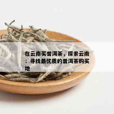 在云南买普洱茶，探索云南：寻找更优质的普洱茶购买地