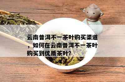 云南普洱不一茶叶购买渠道，如何在云南普洱不一茶叶购买到优质茶叶？