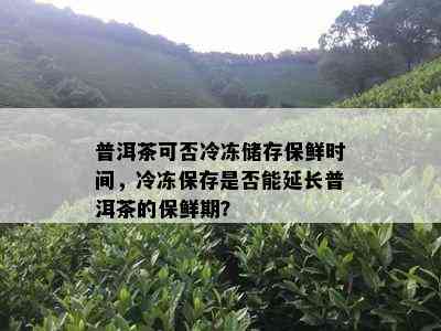 普洱茶可否冷冻储存保鲜时间，冷冻保存是否能延长普洱茶的保鲜期？