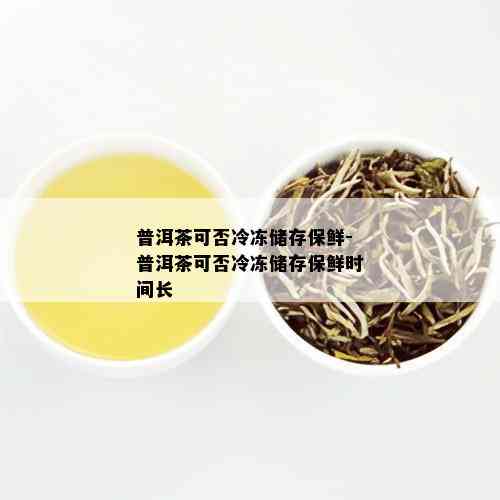 普洱茶可否冷冻储存保鲜-普洱茶可否冷冻储存保鲜时间长