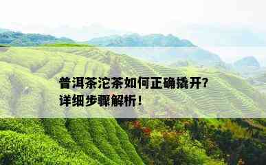 普洱茶沱茶如何正确撬开？详细步骤解析！