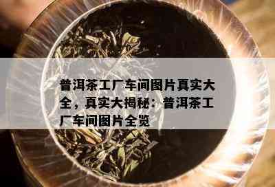 普洱茶工厂车间图片真实大全，真实大揭秘：普洱茶工厂车间图片全览