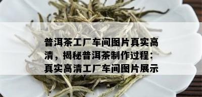 普洱茶工厂车间图片真实高清，揭秘普洱茶制作过程：真实高清工厂车间图片展示