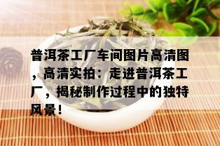 普洱茶工厂车间图片高清图，高清实拍：走进普洱茶工厂，揭秘制作过程中的独特风景！