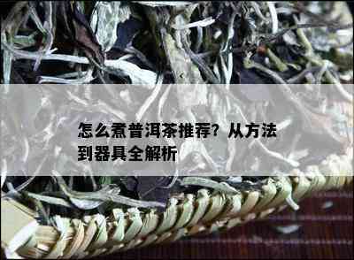 怎么煮普洱茶推荐？从方法到器具全解析