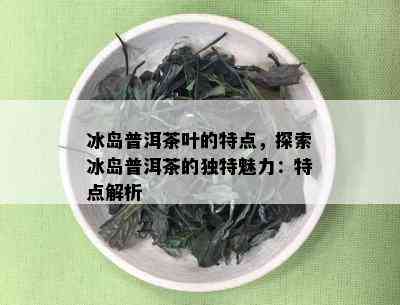 冰岛普洱茶叶的特点，探索冰岛普洱茶的独特魅力：特点解析