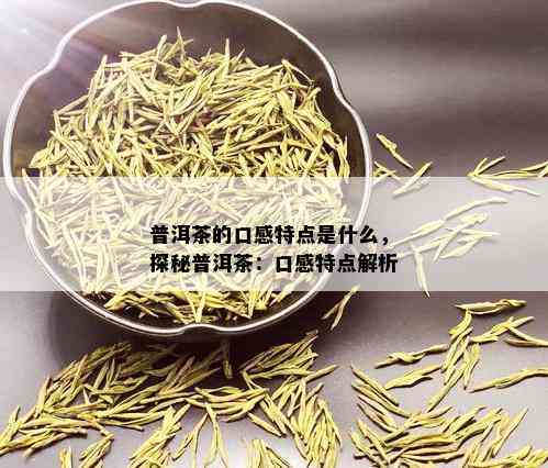 普洱茶的口感特点是什么，探秘普洱茶：口感特点解析