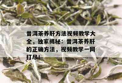 普洱茶养肝方法视频教学大全，独家揭秘：普洱茶养肝的正确方法，视频教学一网打尽！