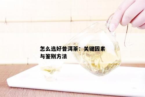 怎么选好普洱茶：关键因素与鉴别方法