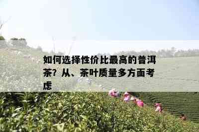 如何选择性价比更高的普洱茶？从、茶叶质量多方面考虑