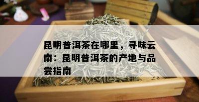 昆明普洱茶在哪里，寻味云南：昆明普洱茶的产地与品尝指南