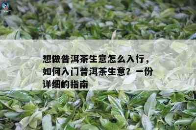 想做普洱茶生意怎么入行，如何入门普洱茶生意？一份详细的指南