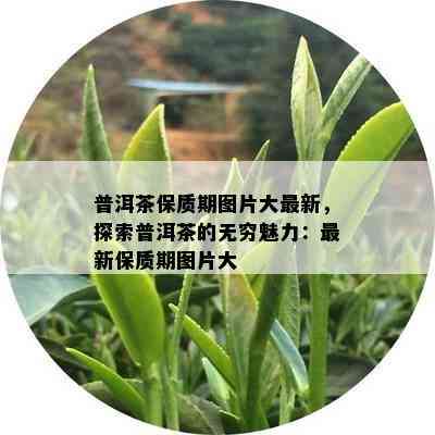 普洱茶保质期图片大最新，探索普洱茶的无穷魅力：最新保质期图片大