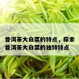 普洱茶大白菜的特点，探索普洱茶大白菜的独特特点