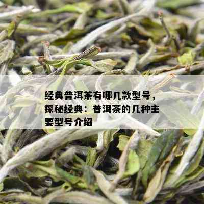 经典普洱茶有哪几款型号，探秘经典：普洱茶的几种主要型号介绍