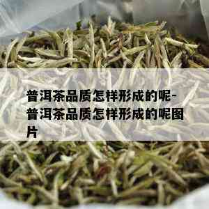 普洱茶品质怎样形成的呢-普洱茶品质怎样形成的呢图片