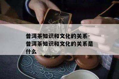 普洱茶知识和文化的关系-普洱茶知识和文化的关系是什么