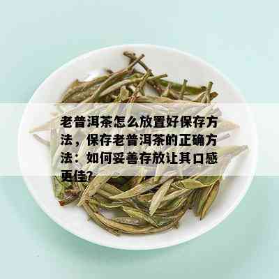 老普洱茶怎么放置好保存方法，保存老普洱茶的正确方法：如何妥善存放让其口感更佳？