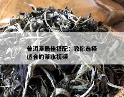 普洱茶更佳搭配：教你选择适合的茶水视频