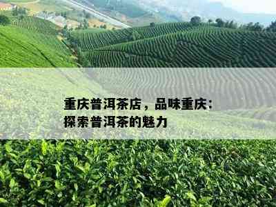 重庆普洱茶店，品味重庆：探索普洱茶的魅力