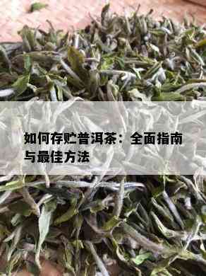 如何存贮普洱茶：全面指南与更佳方法