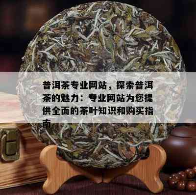 普洱茶专业网站，探索普洱茶的魅力：专业网站为您提供全面的茶叶知识和购买指南