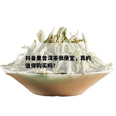 抖音里普洱茶很便宜，真的值得购买吗？