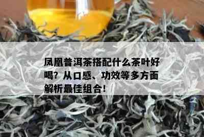 凤凰普洱茶搭配什么茶叶好喝？从口感、功效等多方面解析更佳组合！