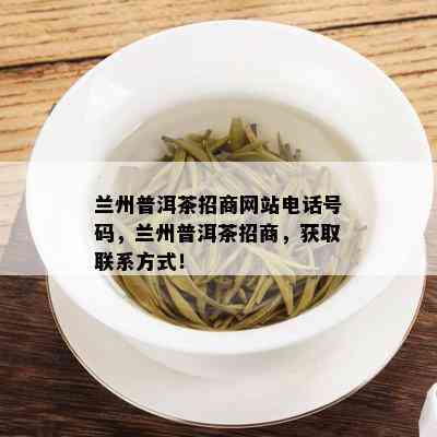 兰州普洱茶招商网站电话号码，兰州普洱茶招商，获取联系方式！