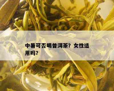 中暑可否喝普洱茶？女性适用吗？