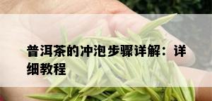 普洱茶的冲泡步骤详解：详细教程