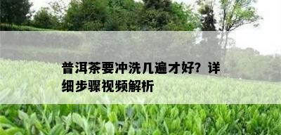 普洱茶要冲洗几遍才好？详细步骤视频解析