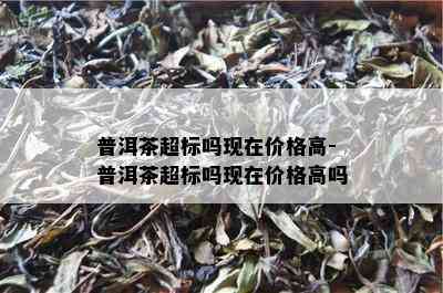 普洱茶超标吗现在价格高-普洱茶超标吗现在价格高吗