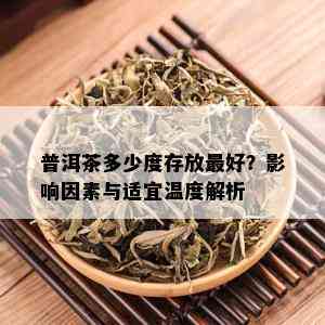 普洱茶多少度存放更好？影响因素与适宜温度解析