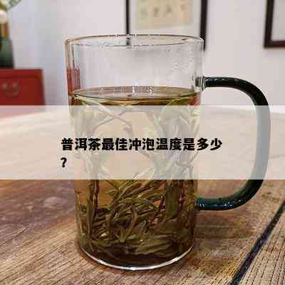 普洱茶更佳冲泡温度是多少？