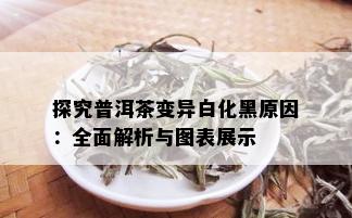 探究普洱茶变异白化黑原因：全面解析与图表展示