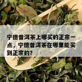 宁德普洱茶上哪买的正宗一点，宁德普洱茶在哪里能买到正宗的？