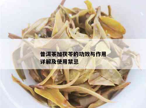 普洱茶加茯苓的功效与作用详解及使用禁忌