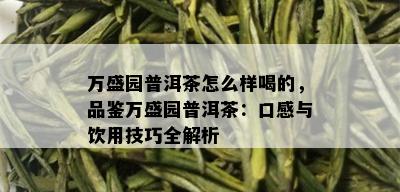 万盛园普洱茶怎么样喝的，品鉴万盛园普洱茶：口感与饮用技巧全解析