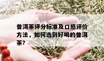 普洱茶评分标准及口感评价方法，如何选到好喝的普洱茶？