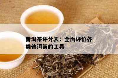 普洱茶评分表：全面评价各类普洱茶的工具