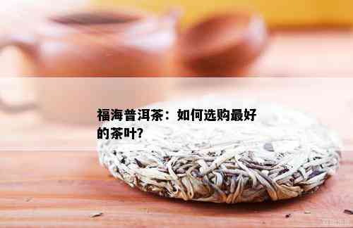 福海普洱茶：如何选购更好的茶叶？