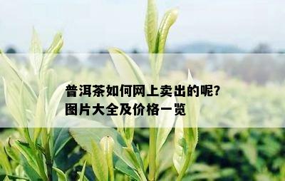 普洱茶如何网上卖出的呢？图片大全及价格一览