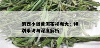 滇西小哥普洱茶视频大：特别采访与深度解析